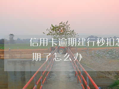 信用卡逾期建行秒扣怎么办(建行的信用卡逾期了怎么办)