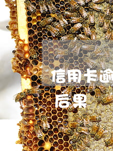 信用卡逾期建行说银联拉黑(建设银行拉黑了后果)