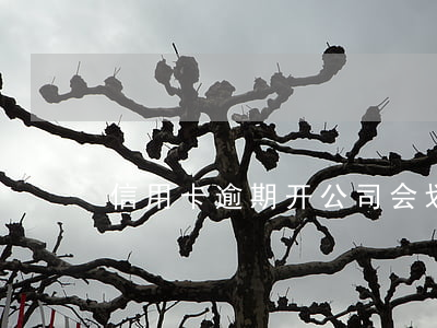 信用卡逾期开公司会划走账户钱么