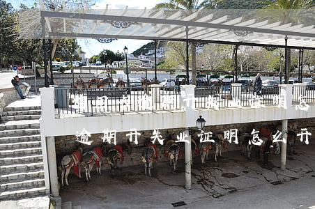 信用卡逾期开失业证明怎么开的呢-信用卡逾期开失业证明怎么开的呢怎么写
