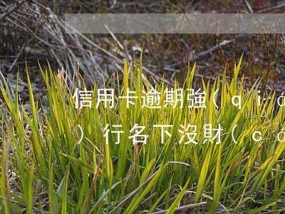 信用卡逾期強(qiáng)制執(zhí)行名下沒財(cái)產(chǎn)咋辦-欠信用卡被強(qiáng)制執(zhí)行人實(shí)在沒錢還怎么辦