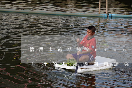 信用卡逾期強(qiáng)制執(zhí)行的后果(逾期申請強(qiáng)制執(zhí)行的法律后果)