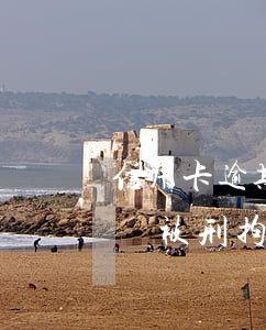 信用卡逾期強(qiáng)制扣款如何解決(被刑拘導(dǎo)致信用卡逾期怎么辦)