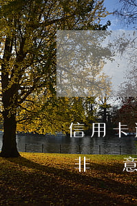 信用卡逾期強(qiáng)制銷卡怎么辦(非惡意信用卡逾期怎么消除)
