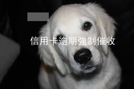 信用卡逾期強制催收
