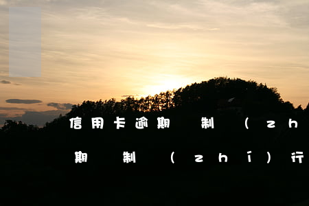 信用卡逾期強制執(zhí)行后(信用卡逾期強制執(zhí)行后)