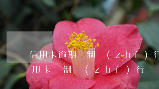 信用卡逾期強制執(zhí)行會怎么樣(信用卡 強制執(zhí)行)