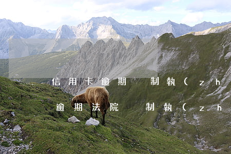 信用卡逾期強制執(zhí)行條件(信用卡逾期法院強制執(zhí)行的標準)