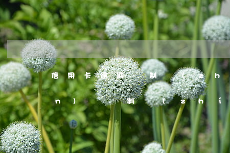 信用卡逾期強制執(zhí)行現(xiàn)場(強制執(zhí)行會執(zhí)行信用卡的錢)