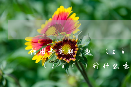 信用卡逾期強制執(zhí)行車(逾期強制執(zhí)行什么意思)