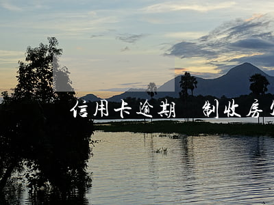 信用卡逾期強制收房(欠信用卡逾期封了房子)
