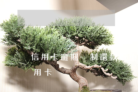 信用卡逾期強制還款(嚴重逾期還清后申請信用卡)