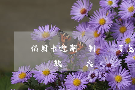 信用卡逾期強制銷戶了怎么辦(信用卡逾期銷戶貸款問題大嗎)