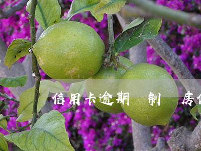 信用卡逾期強制騰房(信用卡 逾期 房貸)