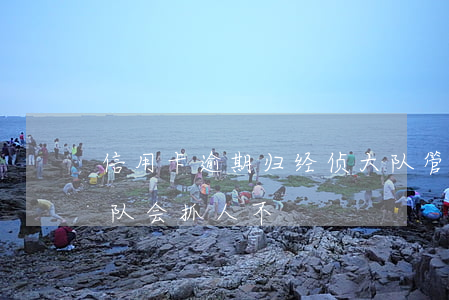 信用卡逾期归经侦大队管吗(欠信用卡经侦大队会抓人不)