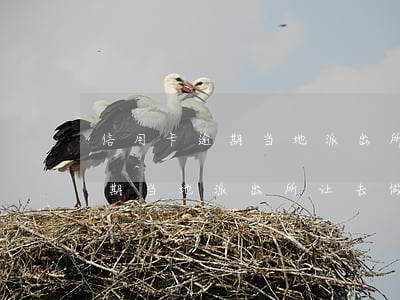 信用卡逾期当地派出所让去做笔录(信用卡逾期当地派出所让去做笔录有用吗)