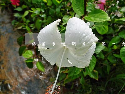 信用卡逾期当天算一天吗(逾期一天也算逾期吗)