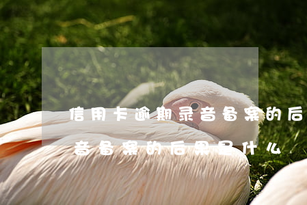 信用卡逾期录音备案的后果-信用卡逾期录音备案的后果是什么
