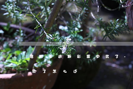 信用卡逾期彩票中奖了-信用卡逾期彩票中奖了怎么还