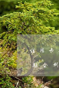 信用卡逾期影不影响助学贷款-助学贷款逾期会影响父母信用吗