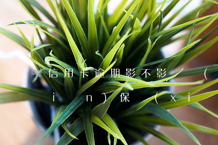 信用卡逾期影不影響買(mǎi)保險(xiǎn)(保險(xiǎn)逾期了會(huì)不會(huì)有影響)