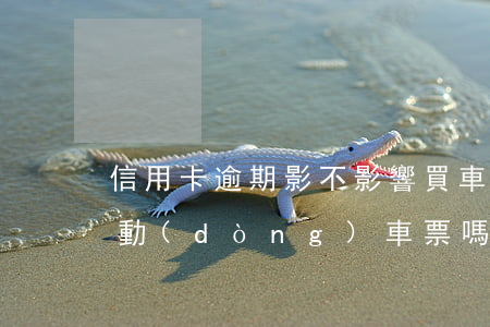 信用卡逾期影不影響買車票(欠信用卡可以買動(dòng)車票嗎)