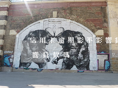 信用卡逾期影不影響貸款(信用卡逾期征信影響貸款嗎)