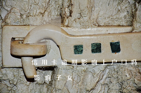 信用卡逾期影响上户口吗(信用卡逾期是否会影响子女)