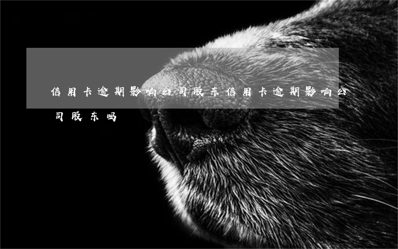 信用卡逾期影响公司股东(信用卡逾期影响公司股东吗)