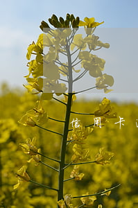 信用卡逾期影响创业吗 为什么信用卡逾期
