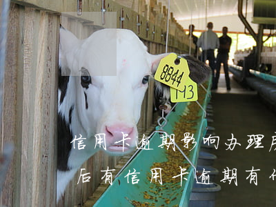 信用卡逾期影响办理房贷么(已经办了房贷然后有信用卡逾期有什么后果)