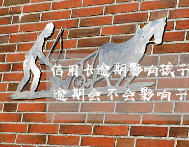 信用卡逾期影响孩子上私立吗(父母的信用卡逾期会不会影响子女)