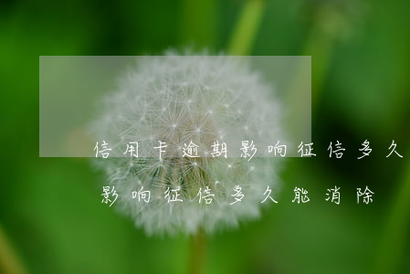 信用卡逾期影响征信多久能消除(信用卡逾期影响征信多久能消除)