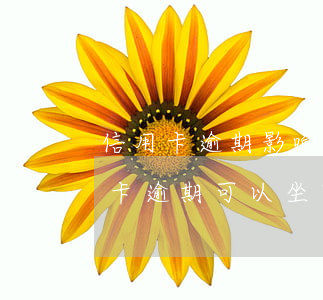 信用卡逾期影响征信还能坐飞机吗-有信用卡逾期可以坐飞机吗