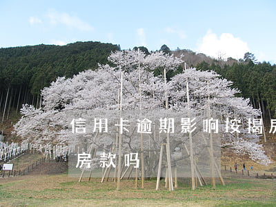 信用卡逾期影响按揭房么(信用卡逾期可以贷房款吗)
