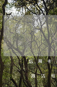 信用卡逾期影响社保激活码(网贷逾期影响我激活社保卡吗)