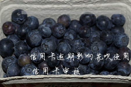 信用卡逾期影响花呗使用吗(花呗逾过期影响信用卡审核)