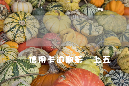 信用卡逾期影響上五險嗎