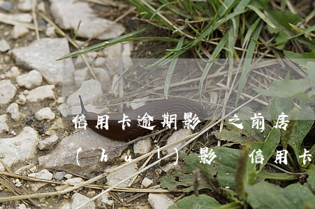 信用卡逾期影響之前房貸嗎(銀行貸款逾期會(huì)影響信用卡嗎)