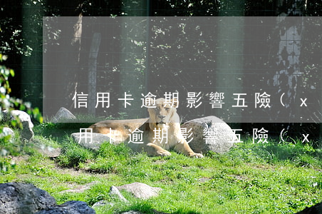 信用卡逾期影響五險(xiǎn)一金嗎(信用卡逾期影響五險(xiǎn)一金嗎)