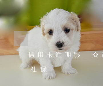 信用卡逾期影響交社保嗎6(征信逾期影響交社保嗎)