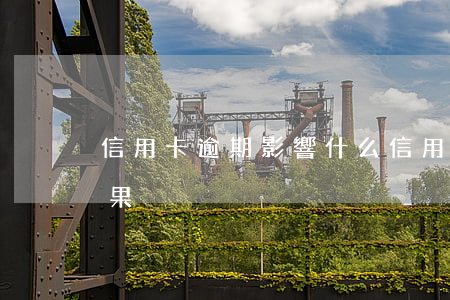 信用卡逾期影響什么?(信用卡逾期影響什么后果)