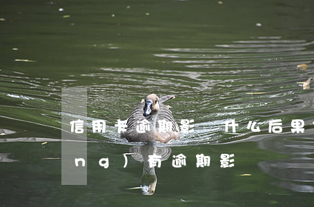 信用卡逾期影響什么后果(信用卡 曾經(jīng)有逾期 影響)