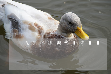 信用卡逾期影響伴侶嗎