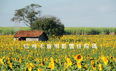 信用卡逾期影響住院嗎