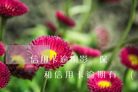 信用卡逾期影響保險嗎(養(yǎng)老保險和信用卡逾期有關(guān)系嗎)