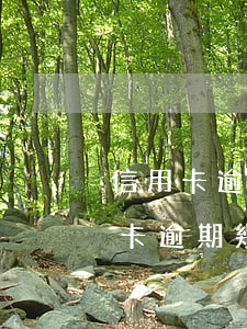 信用卡逾期影響個(gè)人征信多久(信用卡逾期幾天會(huì)影響征信嗎)