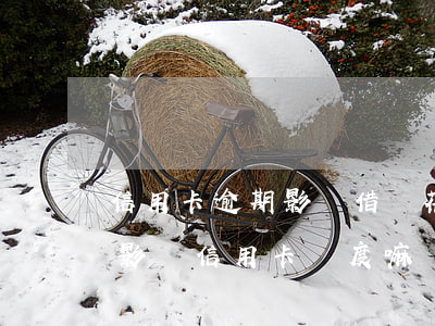 信用卡逾期影響借唄花唄借錢不(借唄逾期會影響信用卡額度嘛)