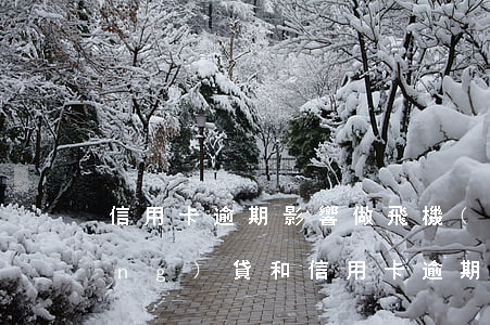 信用卡逾期影響做飛機(jī)嗎 網(wǎng)貸和信用卡逾期了以后可以坐飛機(jī)嗎?