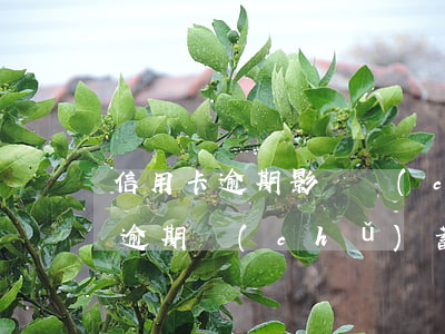 信用卡逾期影響儲(chǔ)蓄卡使用(貸款逾期儲(chǔ)蓄卡受影響嗎?)